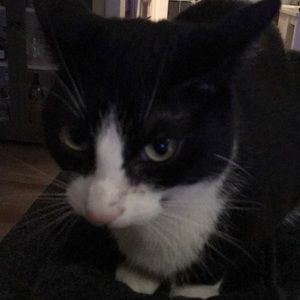 Meet your Posher, Cathy